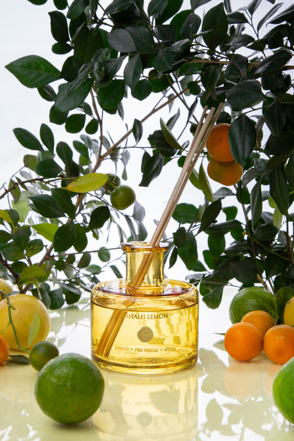 Amalfi Lemon | Natural Diffuser | Juniper, Citrus, Moss
