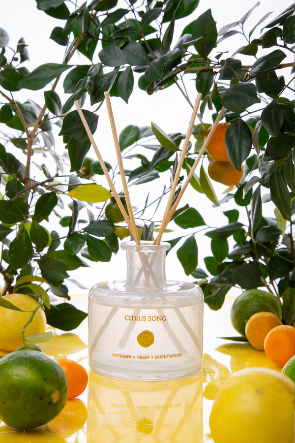 Citrus Song | Scented Natural Diffuser | Fresh Citrus, Neroli, Earthy Woods