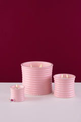 Daydream · Cylinder Candle · Petal · Gardenia Delight