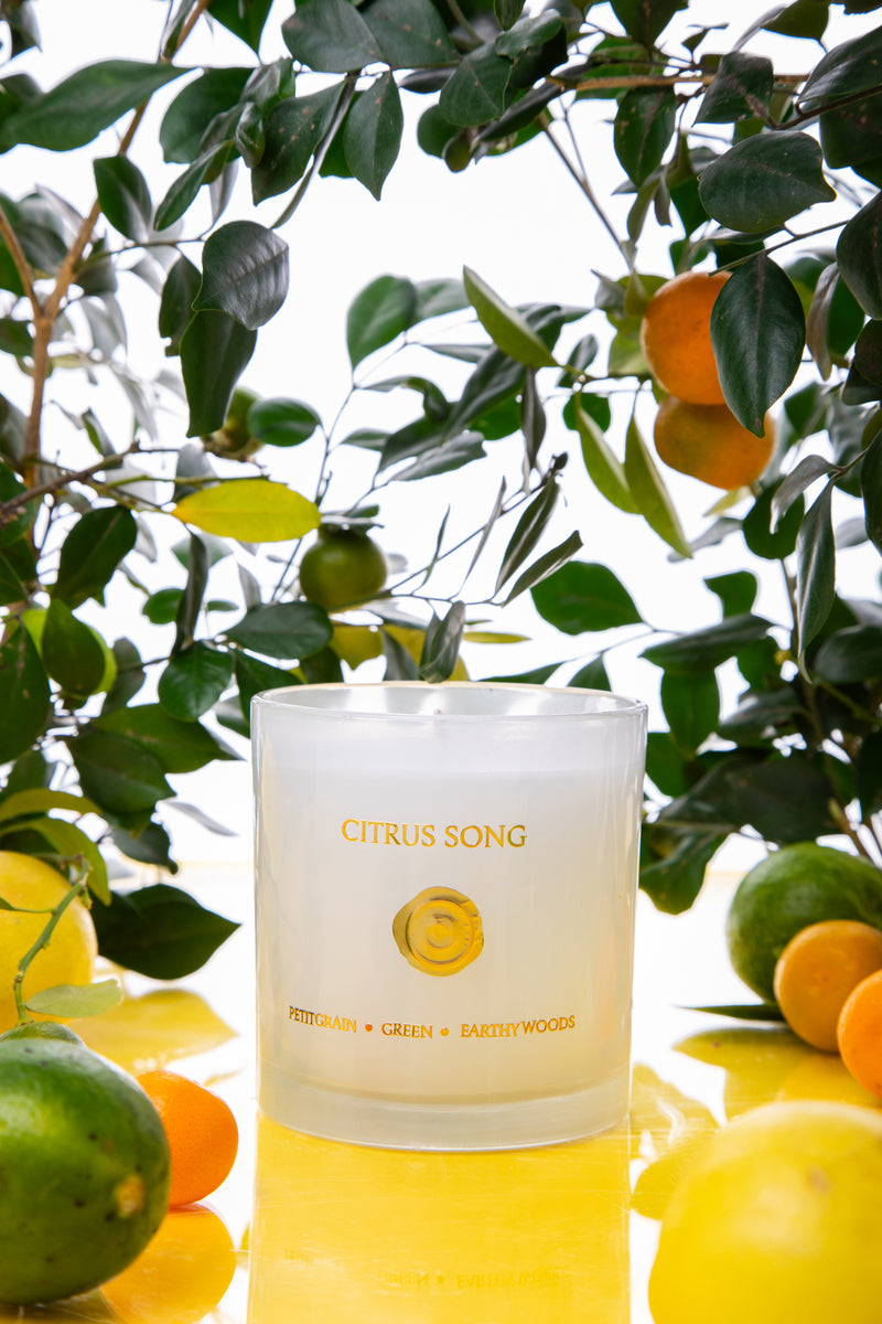 Citrus Song Jar | White | Scented Candle | Fresh Citrus, Neroli, Earthy Woods