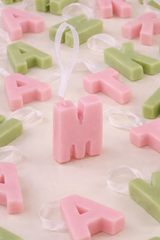 You and I Initial Wax Tablet | Minted Rose | Set of 3