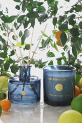 Blackberry Currant Set of 2 | Smoke | Scented Candle & Diffuser | Citrus, Blackberry, Balsam