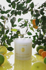 Citrus Song Jar | White | Scented Candle | Fresh Citrus, Neroli, Earthy Woods
