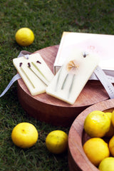 Lemon Grass And Clove | Perfume Infused Wax Tablets | Set of 2